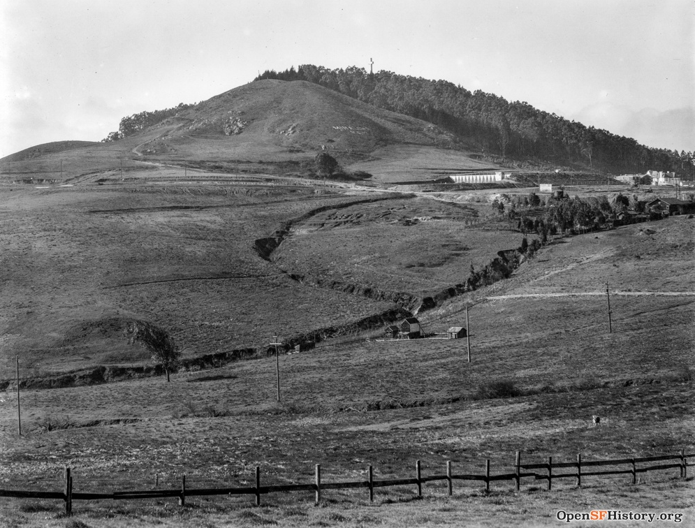 Mt Davidson Hillside